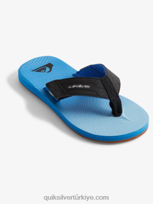Quiksilver erkek çocuklar 8-16 carver switch sandalet 226FP2211 mavi 5