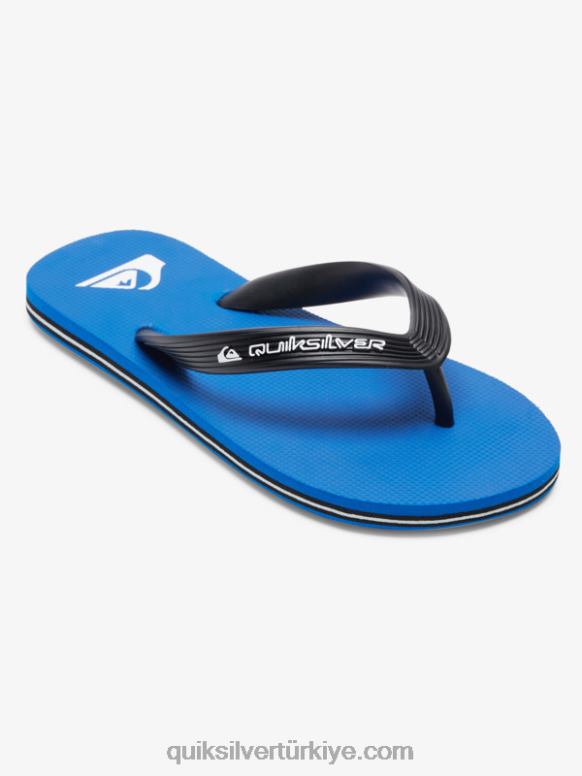 Quiksilver erkek çocuklar 8-16 molokai çekirdekli parmak arası terlik 226FP2167 mavi 1