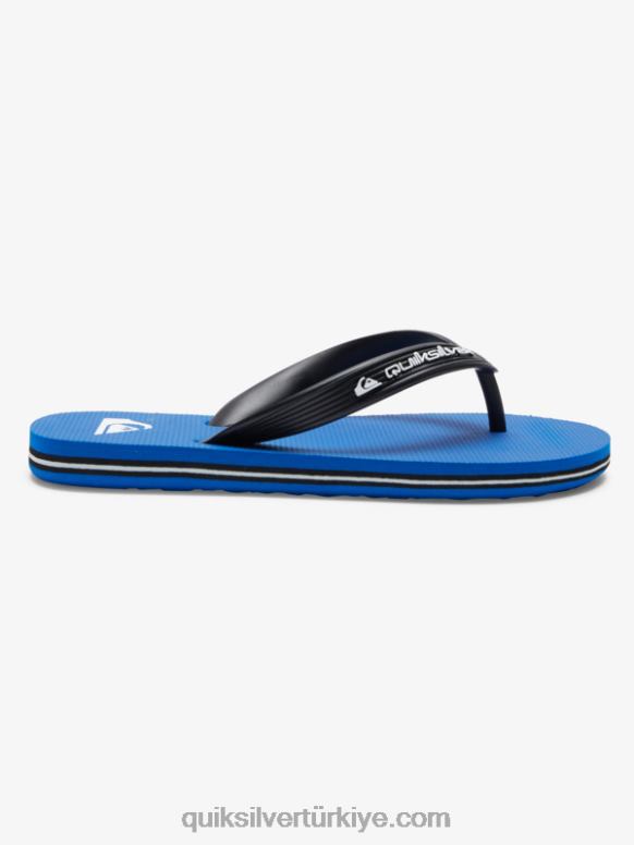 Quiksilver erkek çocuklar 8-16 molokai çekirdekli parmak arası terlik 226FP2167 mavi 1