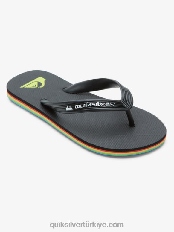 Quiksilver erkek çocuklar 8-16 molokai çekirdekli parmak arası terlik 226FP2169 siyah