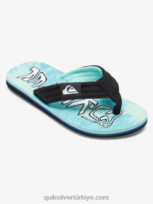 Quiksilver erkek çocuklar 8-16 molokai rahat sandalet 226FP1994 yeşil/mavi/sarı
