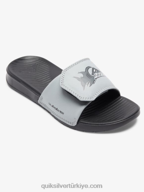 Quiksilver erkek çocuklar 8-16 parlak sahil ayar sürgüsü 226FP2186 gri 1