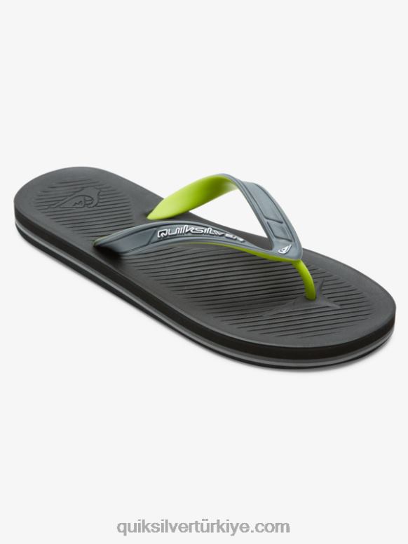 Quiksilver erkekler haleiwa çekirdekli parmak arası terlik 226FP953 gri 1