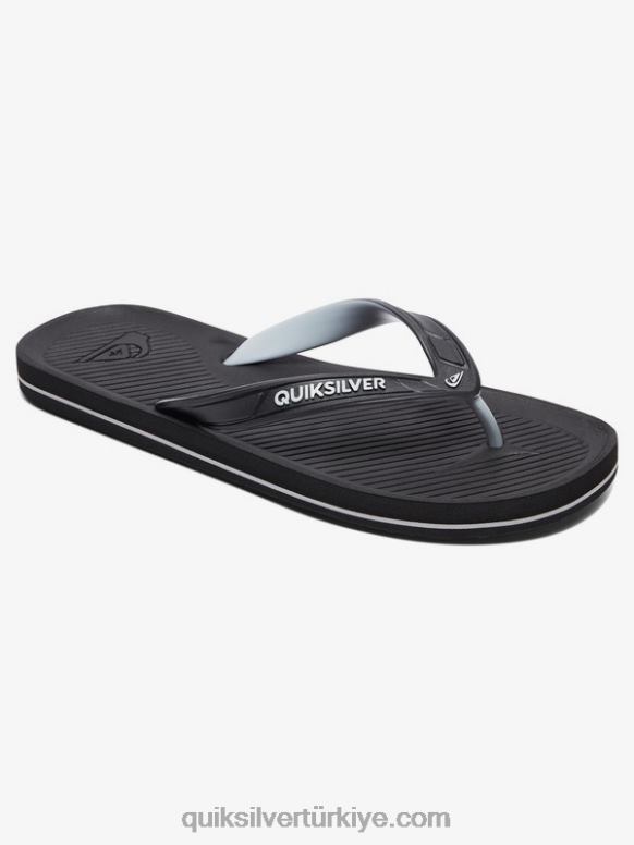 Quiksilver erkekler haleiwa parmak arası terlik 226FP1648 Boz