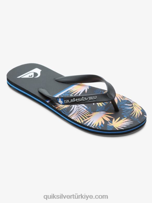 Quiksilver erkekler molokai bölümü parmak arası terlik 226FP1639 siyah