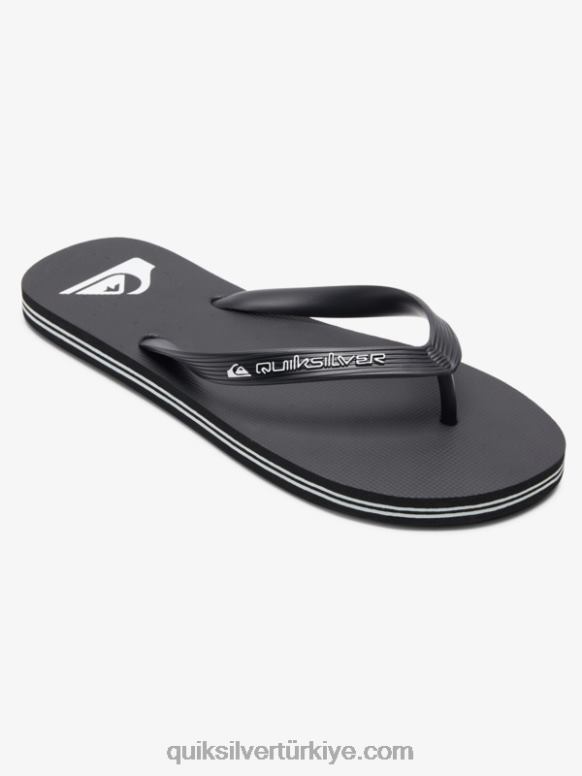 Quiksilver erkekler molokai çekirdekli parmak arası terlikler 226FP592 siyah