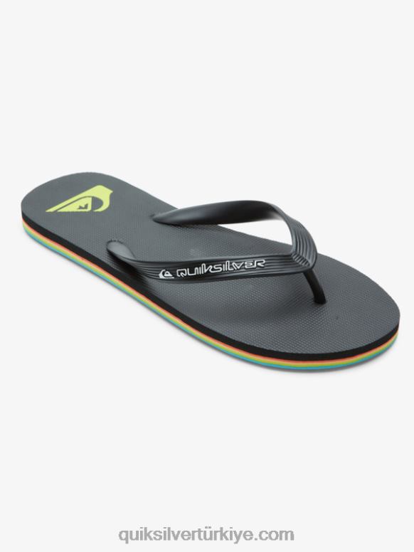 Quiksilver erkekler molokai çekirdekli parmak arası terlikler 226FP595 siyah