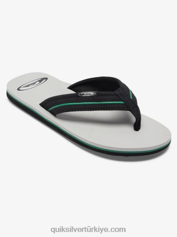 Quiksilver erkekler molokai layback saturn sandalet 226FP1294 gri 1