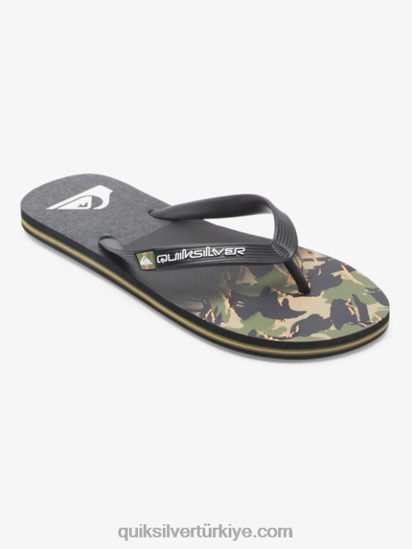 Quiksilver erkekler molokai panel parmak arası terlik 226FP570 yeşil 1