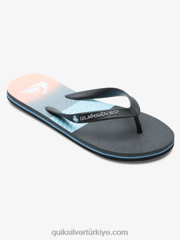 Quiksilver erkekler molokai panel parmak arası terlik 226FP571 mavi/turuncu