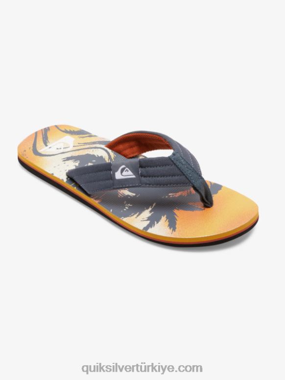 Quiksilver erkekler molokai rahat sandalet 226FP493 gri 1