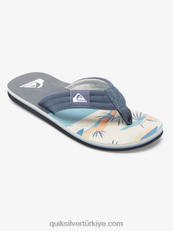 Quiksilver erkekler molokai rahat sandalet 226FP494 gri beyaz