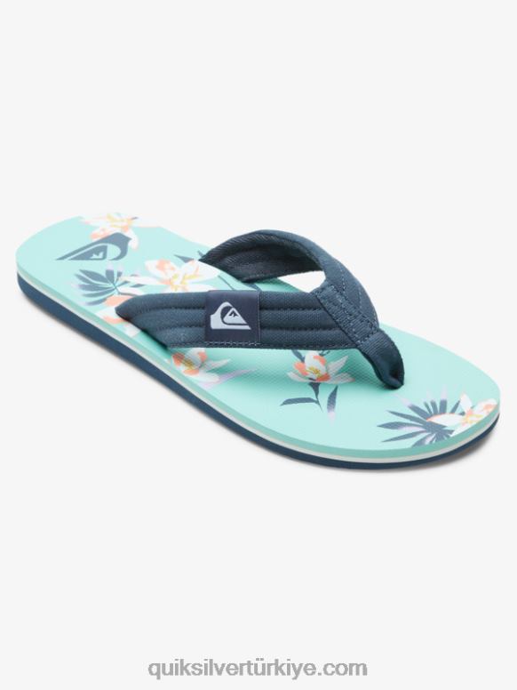 Quiksilver erkekler molokai rahat sandalet 226FP505 Mavi-yeşil