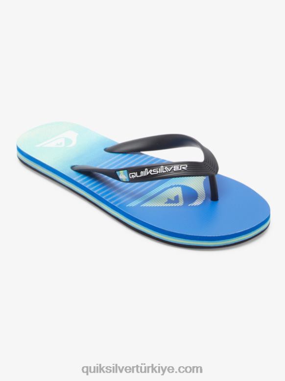 Quiksilver erkekler molokai sanat parmak arası terlik 226FP518 siyah/yeşil/mavi