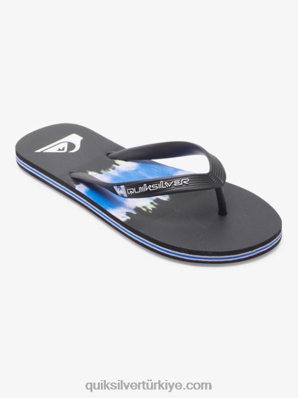Quiksilver erkekler molokai sanat parmak arası terlik 226FP521 siyah
