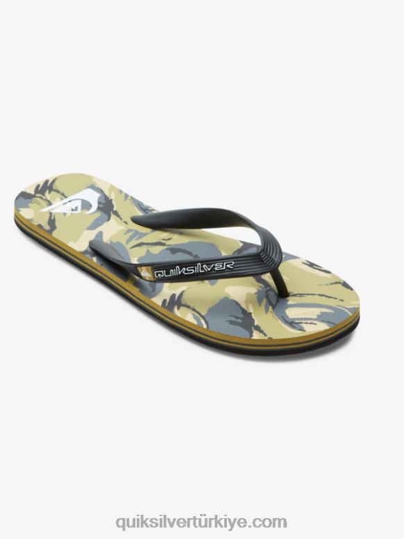 Quiksilver erkekler molokai sanat parmak arası terlik 226FP522 siyah/gri/kahverengi