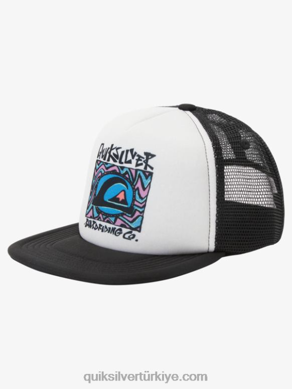 Quiksilver erkek çocuklar 2-7 kasaba kahramanı kamyon şoförü şapkası 226FP2037 huş ağacı