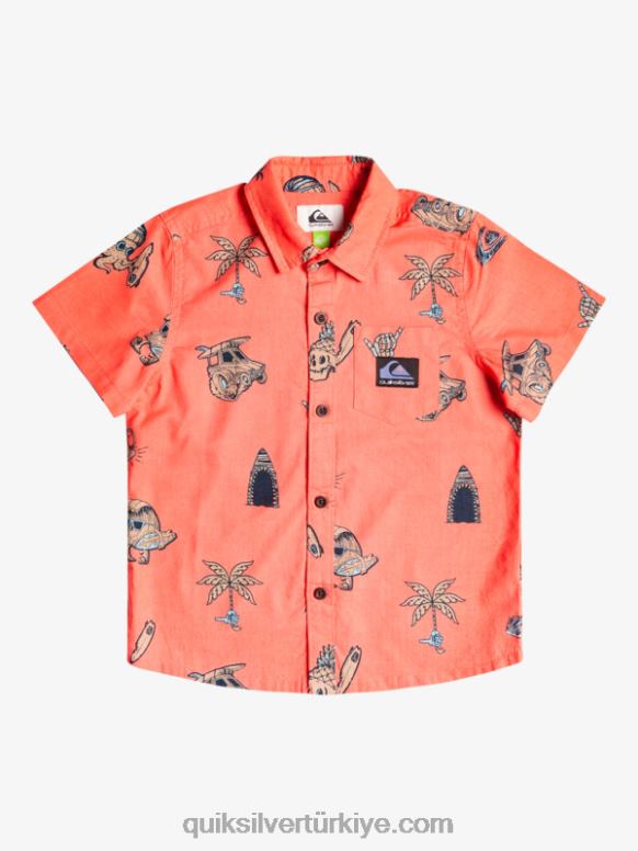 Quiksilver erkek çocuklar 2-7 nono sörf günü gömleği 226FP2130 taze somon nono surfday boy