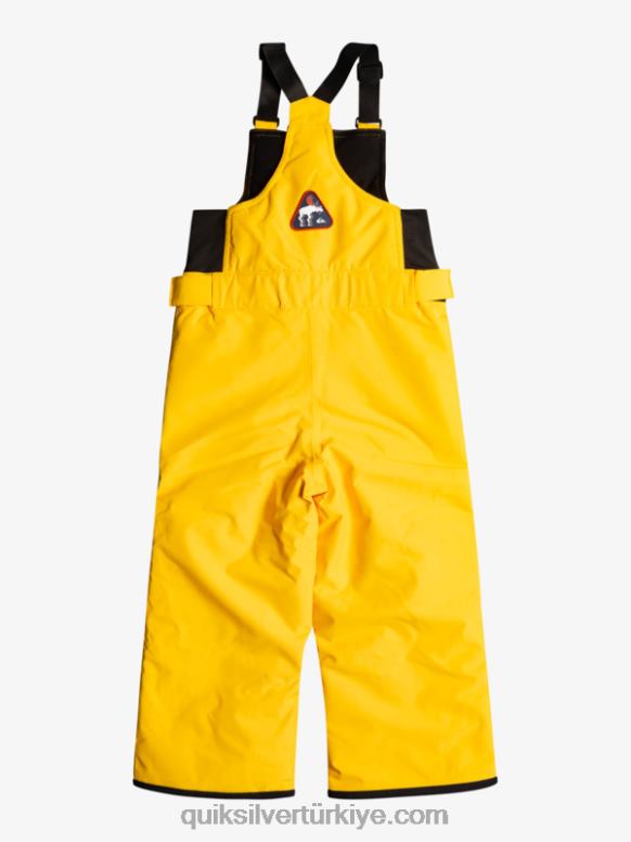 Quiksilver erkek çocuklar 2-7 boogie kar pantolonu 226FP2297 altın çubuk