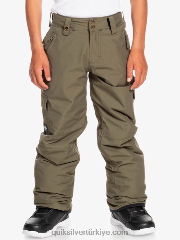 Quiksilver erkek çocuklar 8-16 porter kar pantolonu 226FP2259 üzüm yaprağı