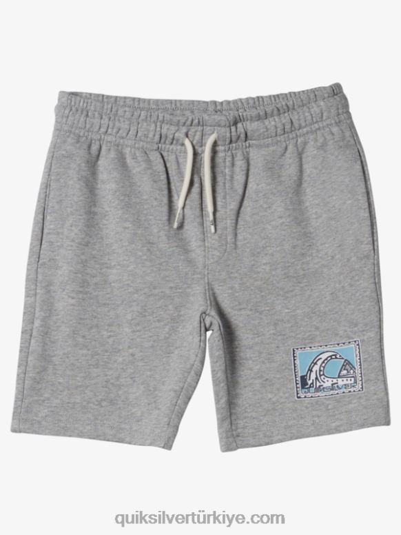 Quiksilver erkek çocuklar 2-7 kolay gün koşucusu 226FP2076 açık gri funda