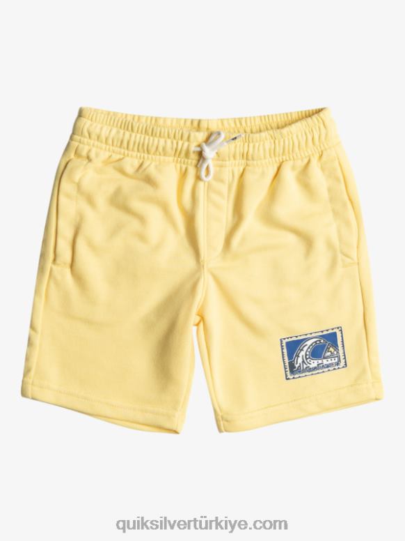 Quiksilver erkek çocuklar 2-7 kolay gün koşucusu 226FP2077 aslanağzı