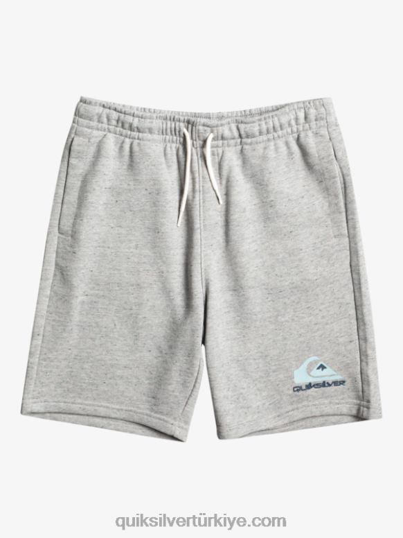 Quiksilver erkek çocuklar 8-16 kolay gün koşucusu 226FP2070 açık gri funda