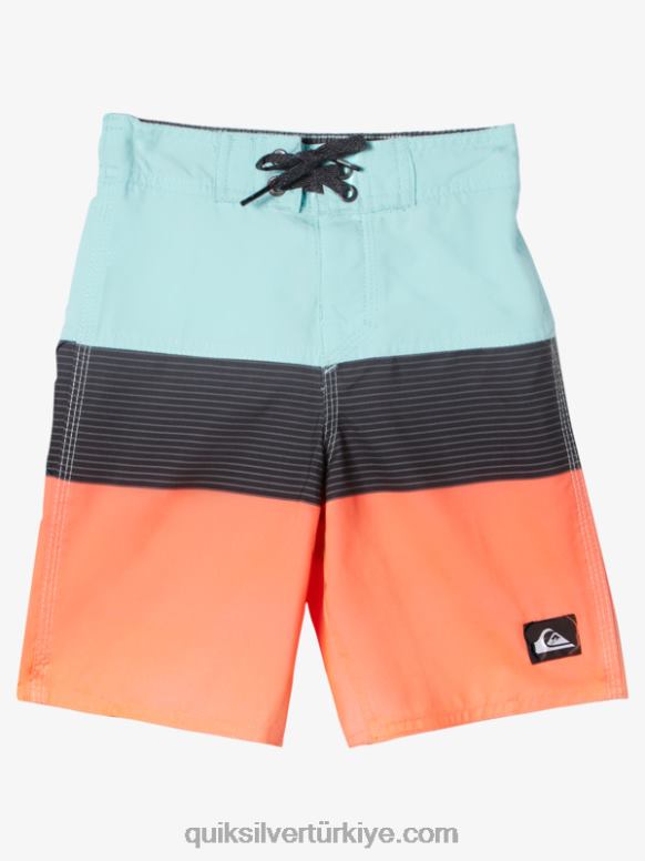 Quiksilver erkek çocuklar 2-7 günlük panel 14 sörf şortu 226FP1895 melek mavisi