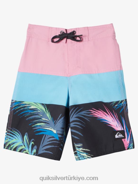 Quiksilver erkek çocuklar 2-7 günlük panel 14 sörf şortu 226FP1897 ay ışığı leylak rengi