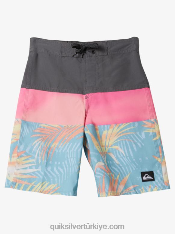 Quiksilver erkek çocuklar 2-7 günlük panel 14 sörf şortu 226FP1900 Demir kapı