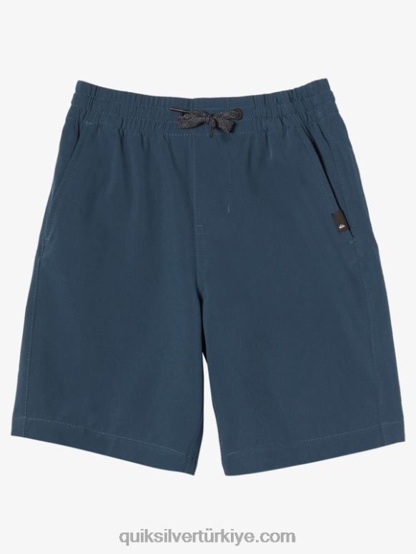 Quiksilver erkek çocuklar 2-7 okyanus elastik 14 amfibi sörf şortu 226FP2056 Gece yarısı donanması