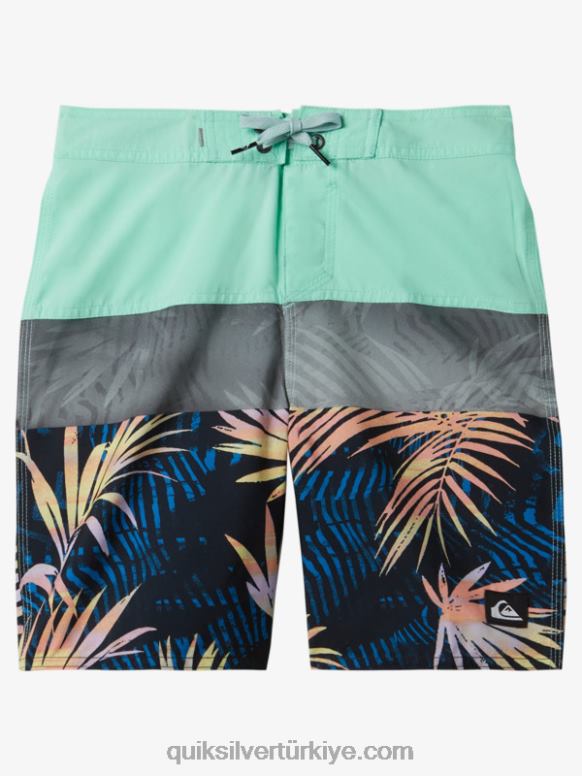 Quiksilver erkek çocuklar 8-16 günlük panel 17 sörf şortu 226FP1907 plaj camı