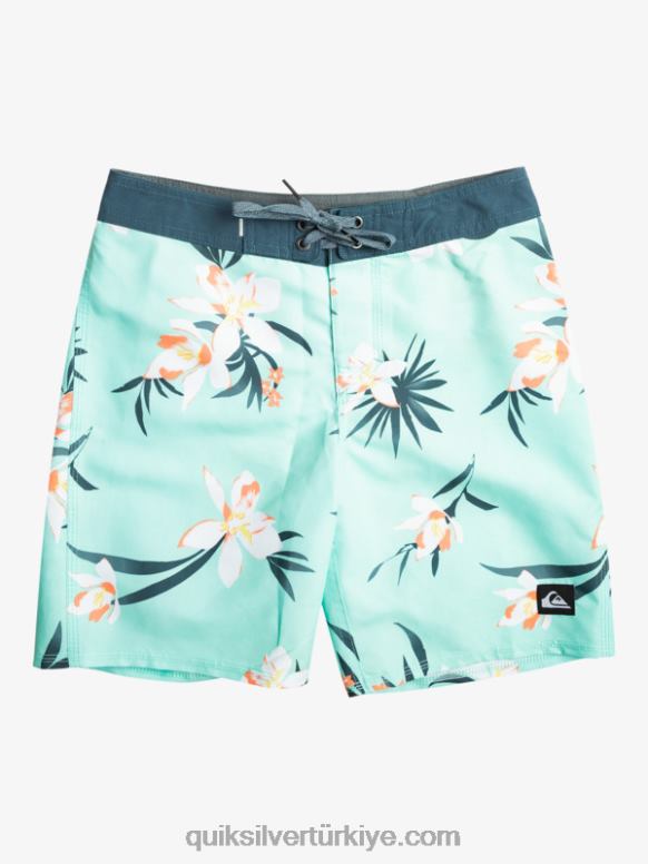 Quiksilver erkek çocuklar 8-16 günlük qs 69 16 sörf şortu 226FP2140 plaj camı