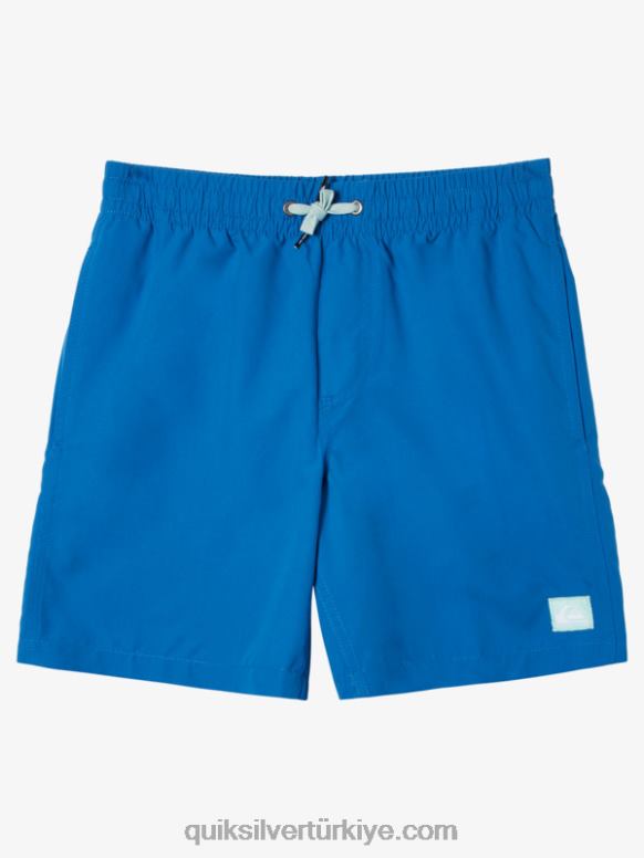 Quiksilver erkek çocuklar 8-16 her gün 15 voleybol 226FP1915 şnorkel mavi