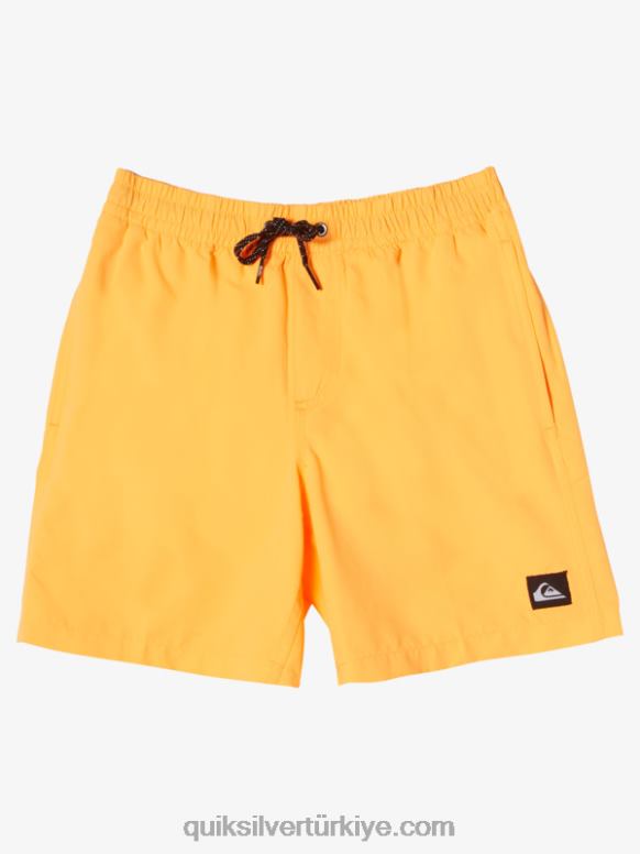 Quiksilver erkek çocuklar 8-16 her gün 15 voleybol 226FP1917 turuncu pop