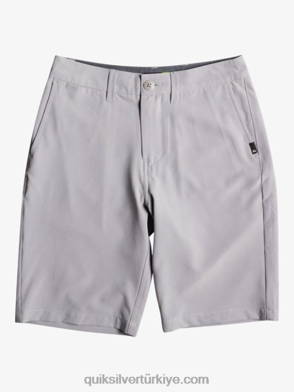 Quiksilver erkek çocuklar 8-16 okyanus birliği 19 amfibi sörf şortu 226FP1932 sulu kar