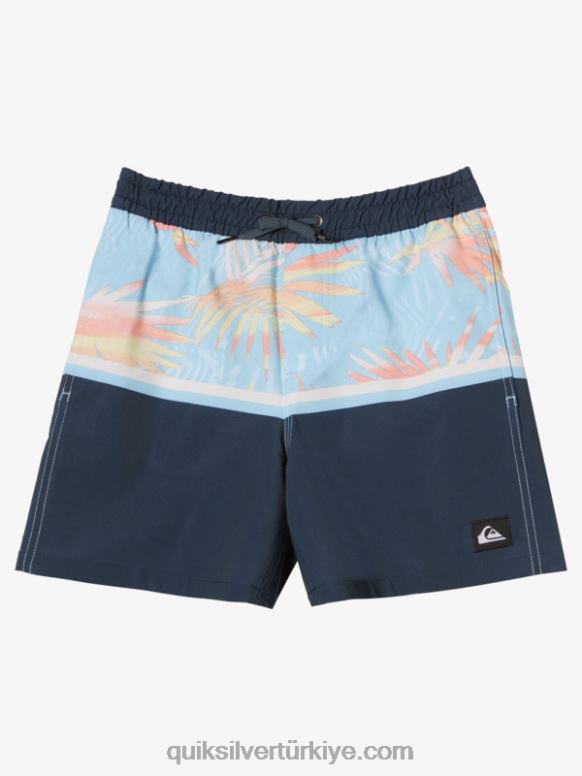 Quiksilver erkek çocuklar 8-16 surfsilk bölümü vl 14 voleybol 226FP2142 Gece yarısı donanması