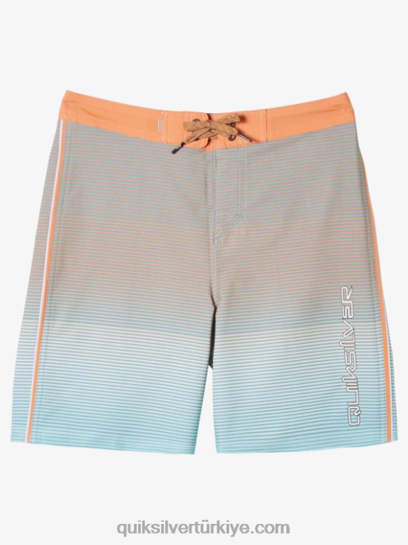 Quiksilver erkek çocuklar 8-16 surfsilk masif 17 sörf şortu 226FP1908 kameo mavisi
