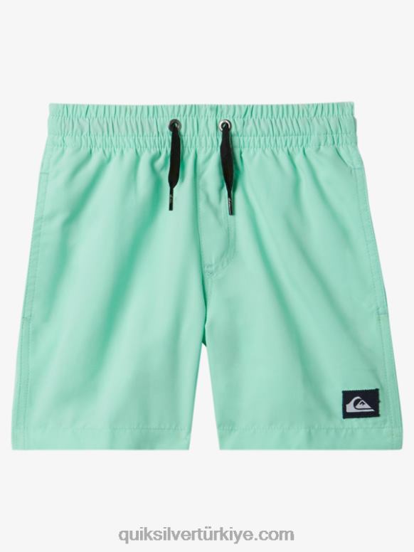 Quiksilver erkek çocuklar Her gün 2-7 12 voleybol 226FP1999 plaj camı