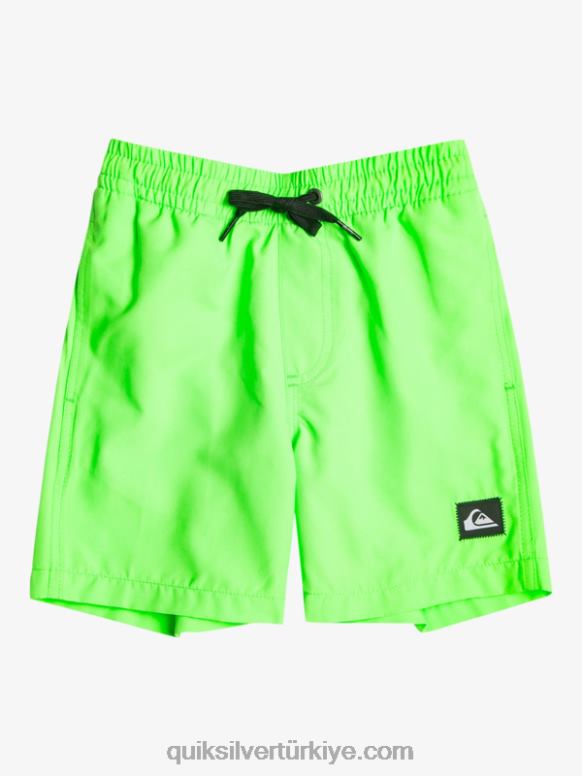 Quiksilver erkek çocuklar Her gün 2-7 13 voleybol 226FP2003 yeşil kertenkele