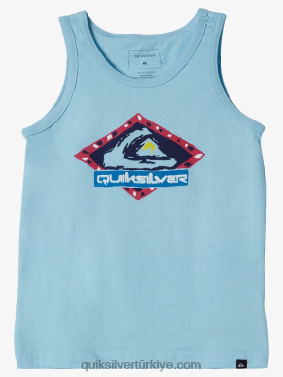 Quiksilver erkek çocuklar 2-7 korkak çerçeve atlet t-shirt 226FP2264 gökyüzü mavi