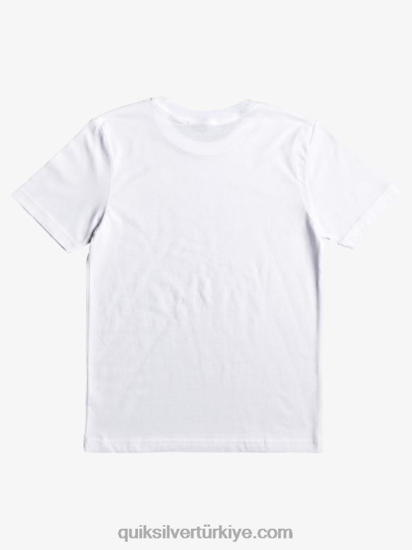 Quiksilver erkek çocuklar 2-7 at risk tişört 226FP2170 beyaz