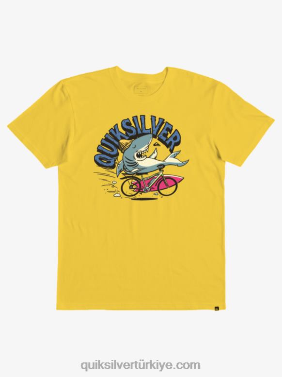 Quiksilver erkek çocuklar 2-7 at risk tişört 226FP2171 aslanağzı
