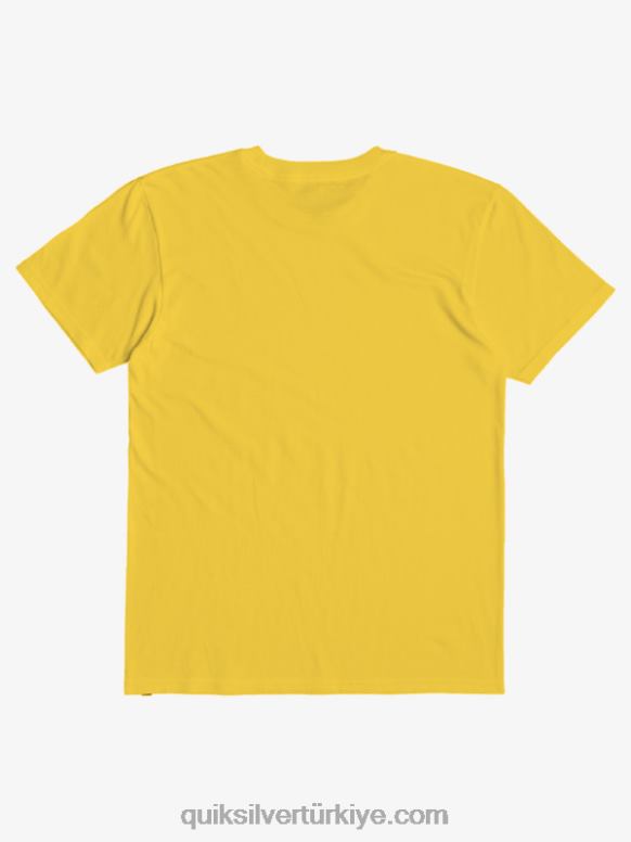 Quiksilver erkek çocuklar 2-7 at risk tişört 226FP2171 aslanağzı