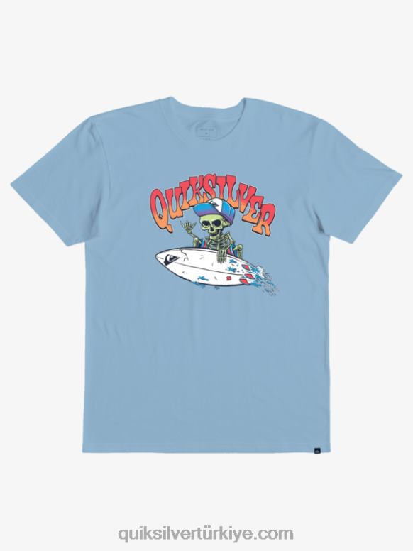 Quiksilver erkek çocuklar 2-7 cuma vardiyası t-shirt 226FP2233 gökyüzü mavi