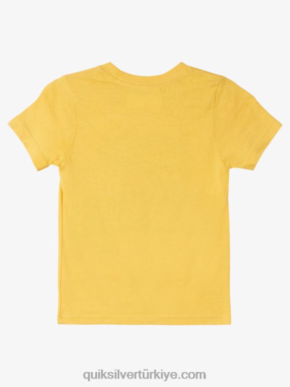 Quiksilver erkek çocuklar 2-7 gece yarısı güneşi t-shirt 226FP1964 yumurta sarısı
