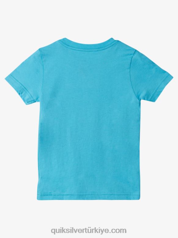 Quiksilver erkek çocuklar 2-7 huzurlu zihin t-shirt 226FP1938 nehir mavisi