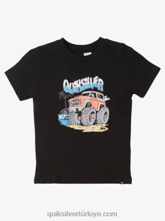 Quiksilver erkek çocuklar 2-7 ikili parke tişört 226FP1974 siyah