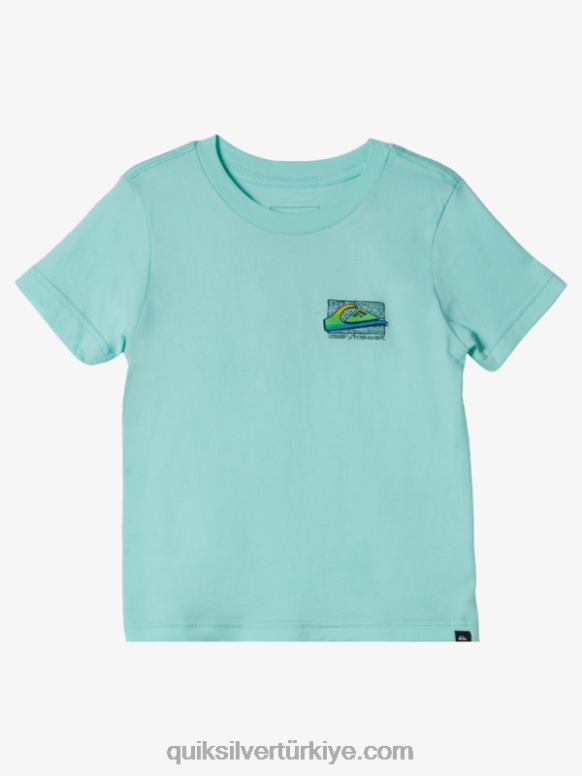 Quiksilver erkek çocuklar 2-7 retro soluk t-shirt 226FP2143 plaj camı