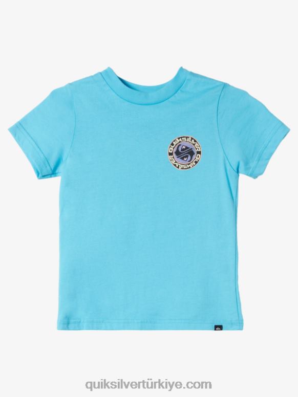Quiksilver erkek çocuklar 2-7 tuzlu masal tişört 226FP1953 nehir mavisi